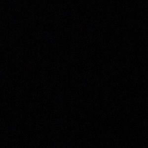 Meet your Posher, Dawson